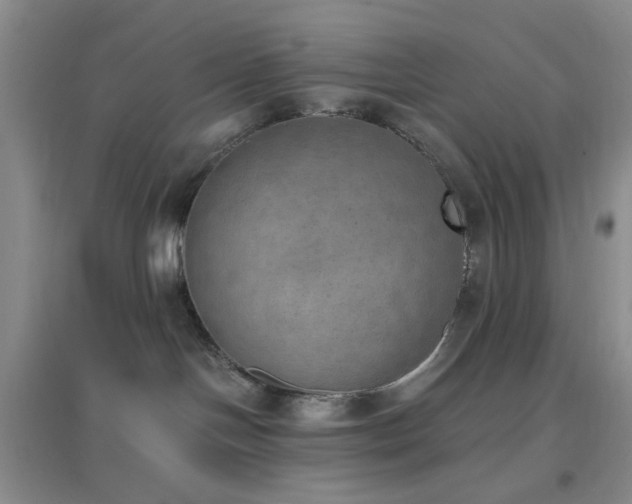 X0000096960094200802081239