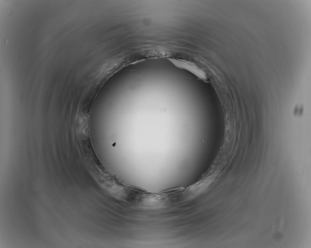 X0000096960096200802081240