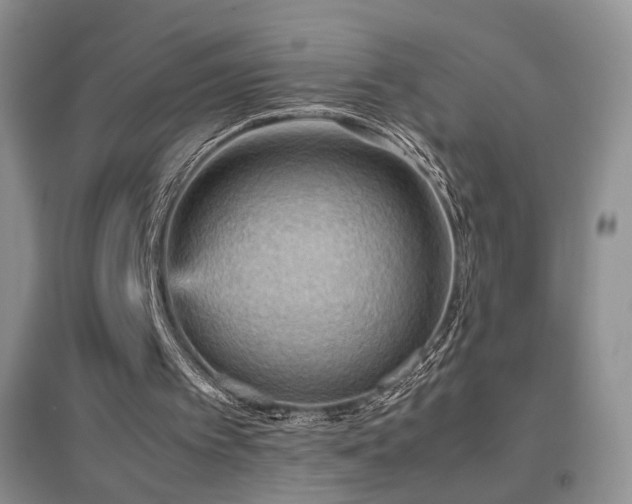 X0000096960097200802081239