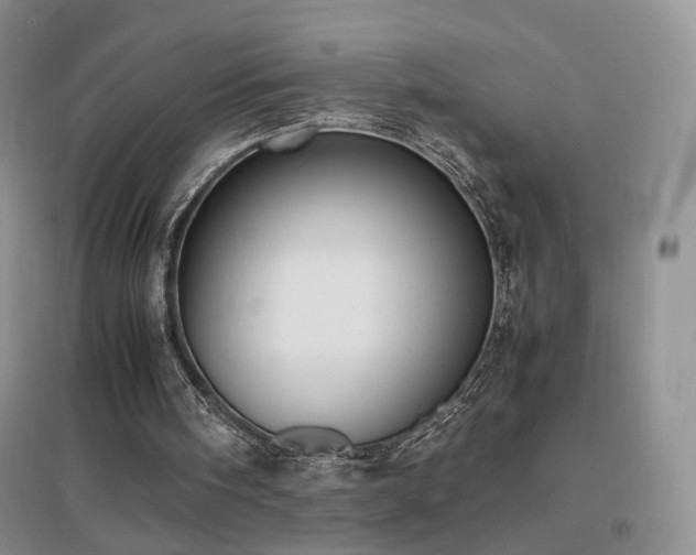 X0000096960098200802081239