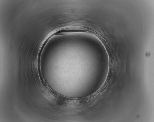 X0000096960100200802081239