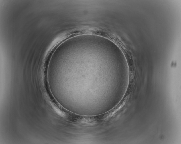 X0000096960101200802081239