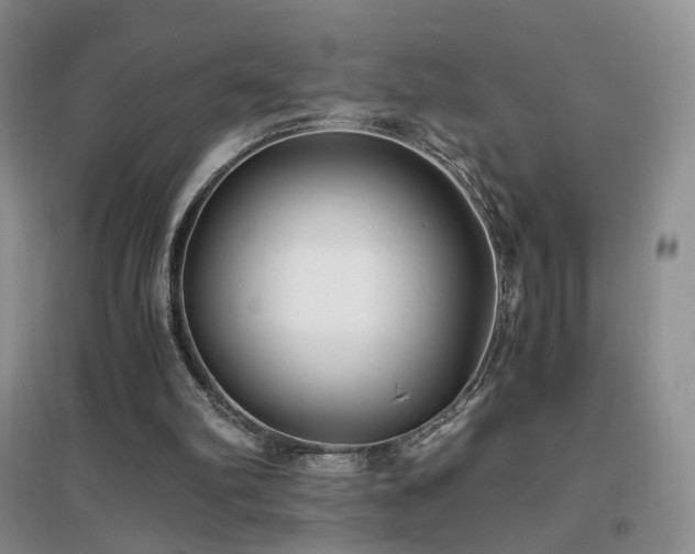 X0000096960102200802081239