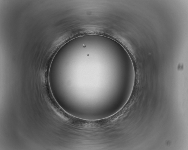 X0000096960105200802081239