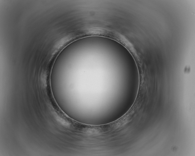 X0000096960106200802081239