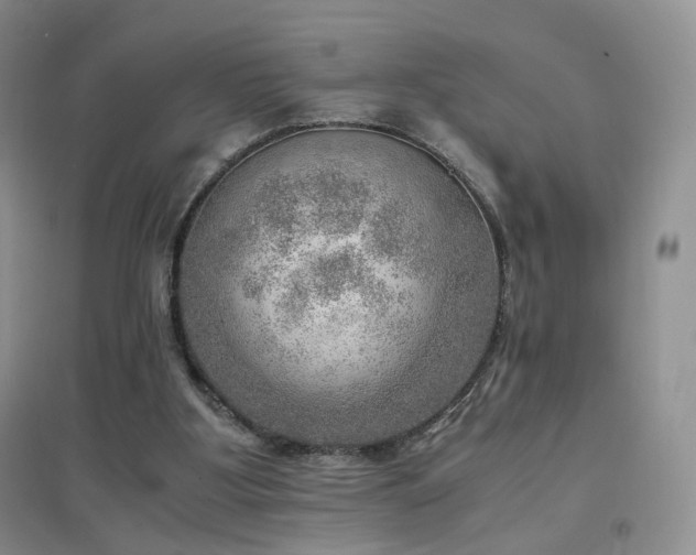 X0000096960107200802081239