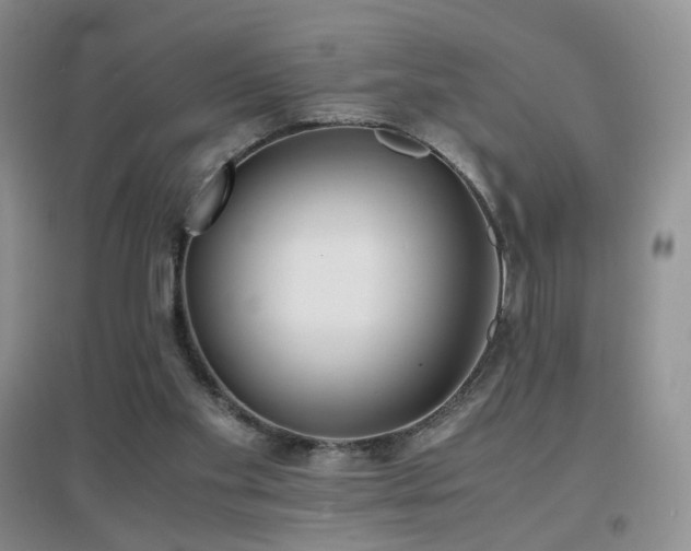 X0000096960109200802081239