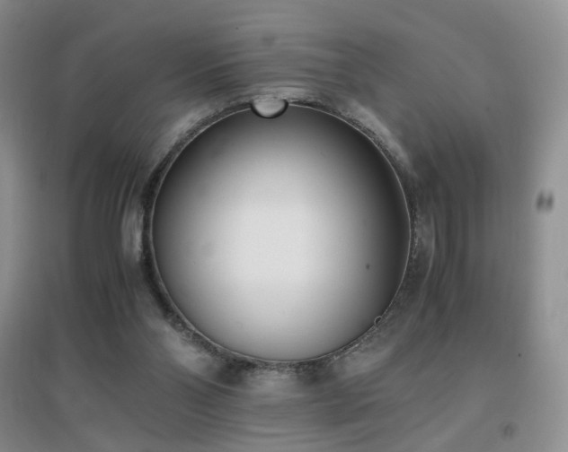 X0000096960110200802081239