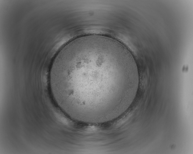 X0000096960111200802081239