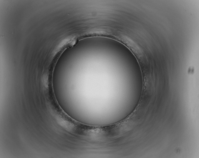 X0000096960112200802081239