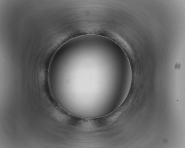 X0000096960113200802081239