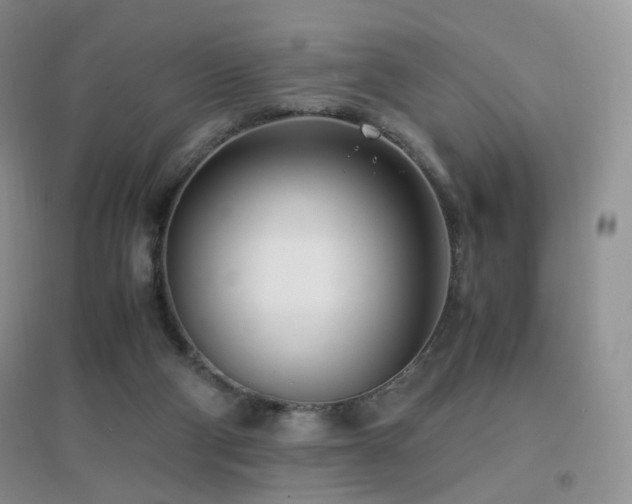 X0000096960114200802081239