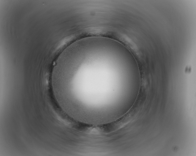 X0000096960115200802081239