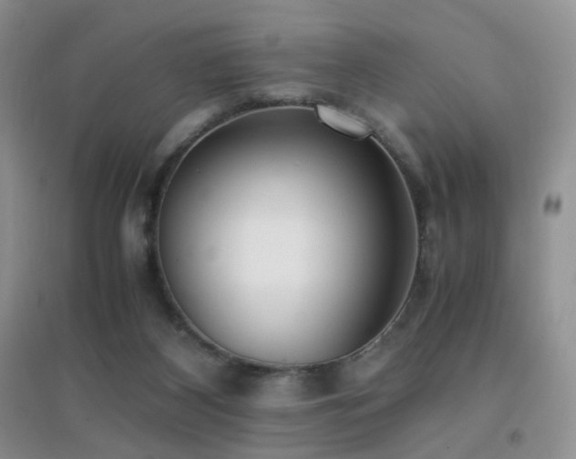 X0000096960116200802081239