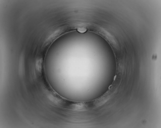 X0000096960118200802081239