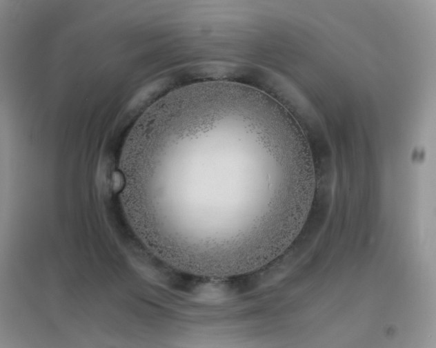 X0000096960119200802081239