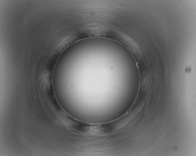 X0000096960121200802081239