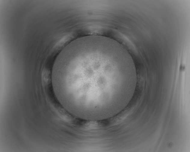 X0000096960123200802081238