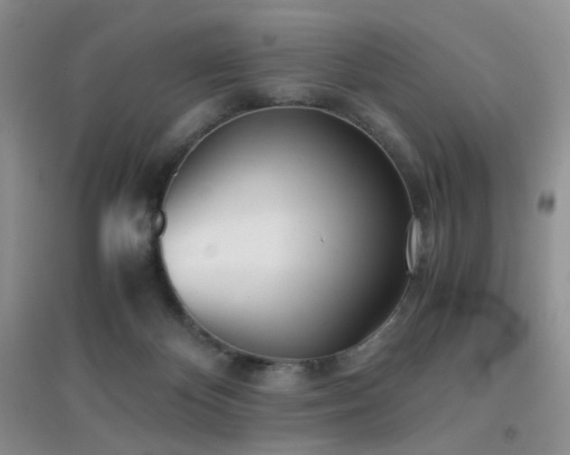 X0000096960124200802081238