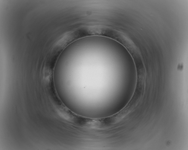 X0000096960125200802081238