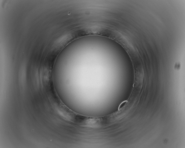 X0000096960126200802081238