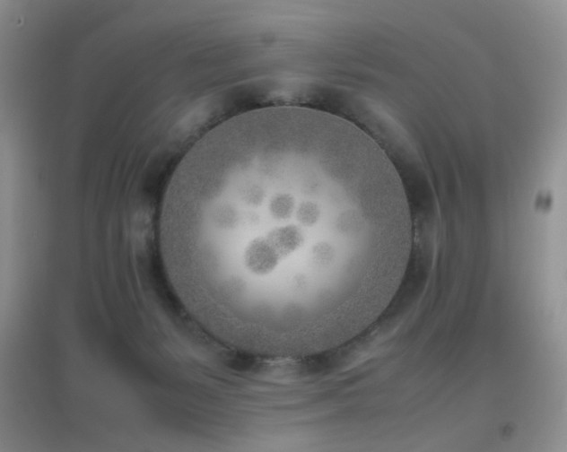 X0000096960127200802081238