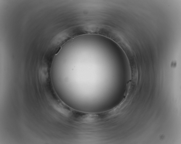 X0000096960128200802081238