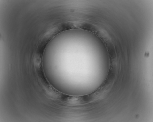 X0000096960129200802081238