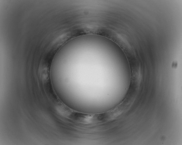 X0000096960130200802081238