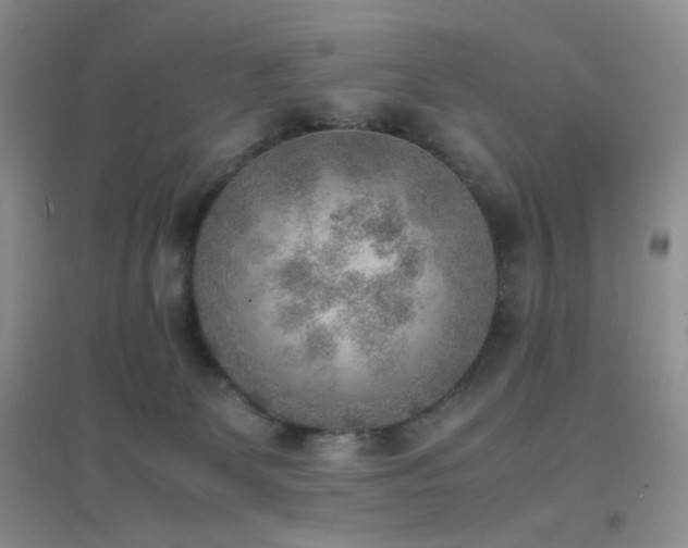 X0000096960131200802081238