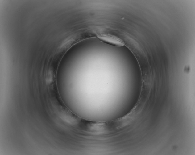 X0000096960132200802081238