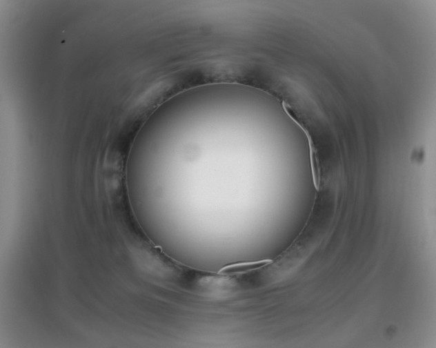 X0000096960133200802081238