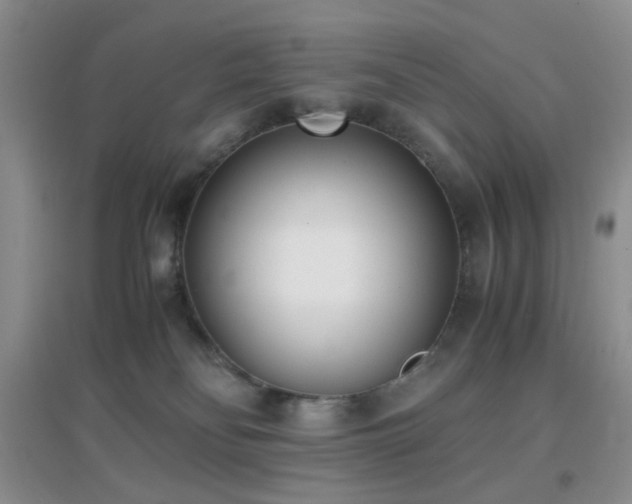 X0000096960134200802081238