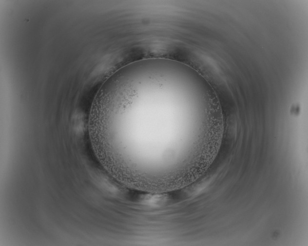 X0000096960135200802081238