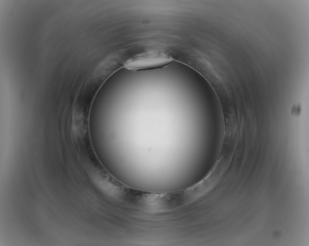 X0000096960136200802081238