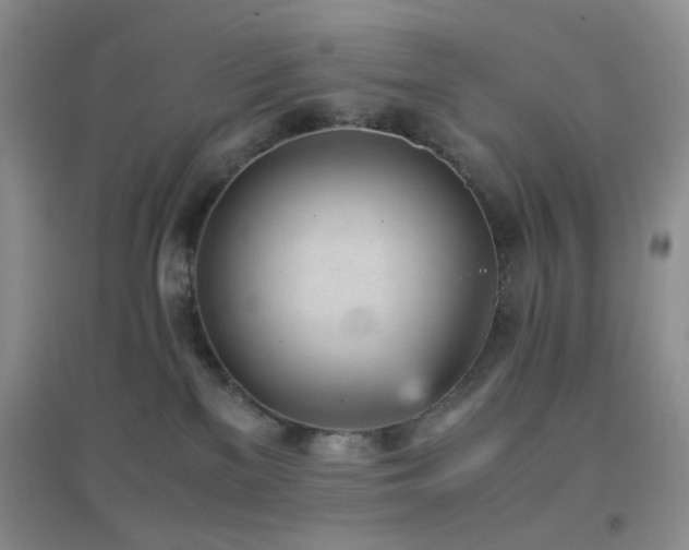 X0000096960137200802081238