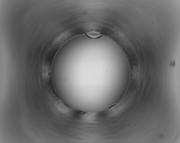 X0000096960138200802081238