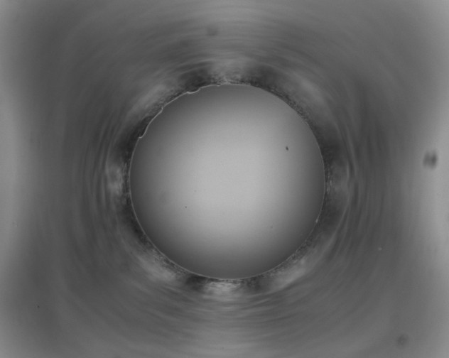 X0000096960139200802081238