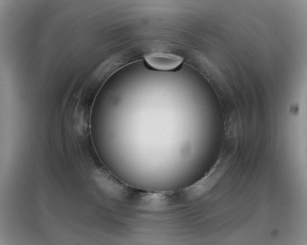 X0000096960140200802081238