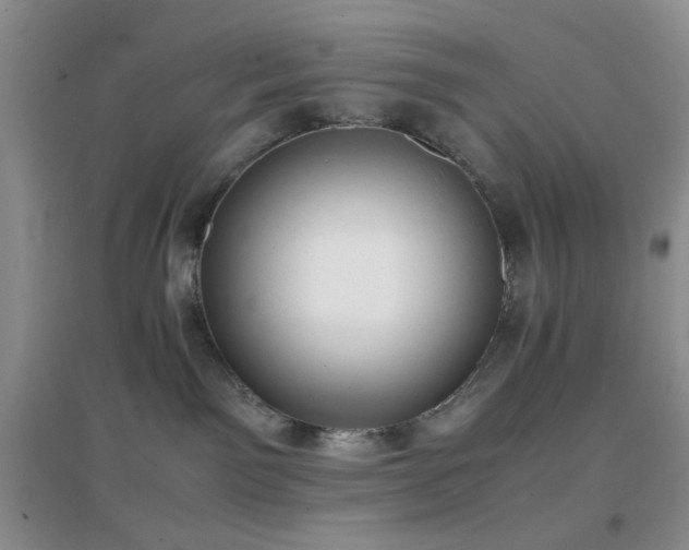 X0000096960141200802081238