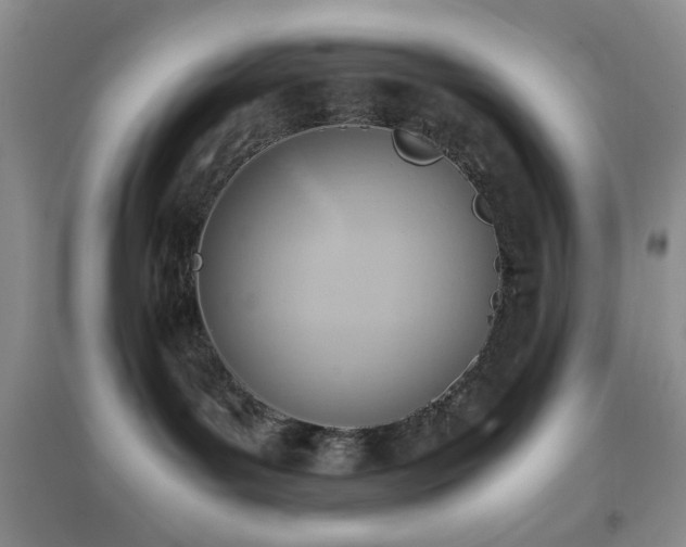 X0000096960143200802081238