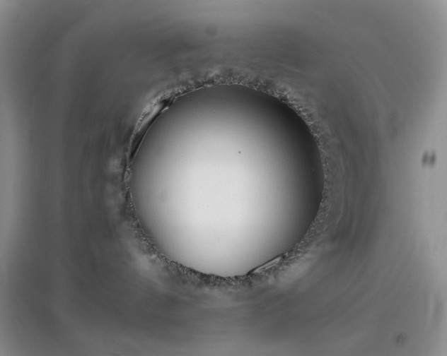 X0000096960144200802081238