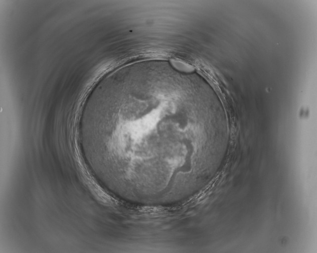 X0000096960145200802081238