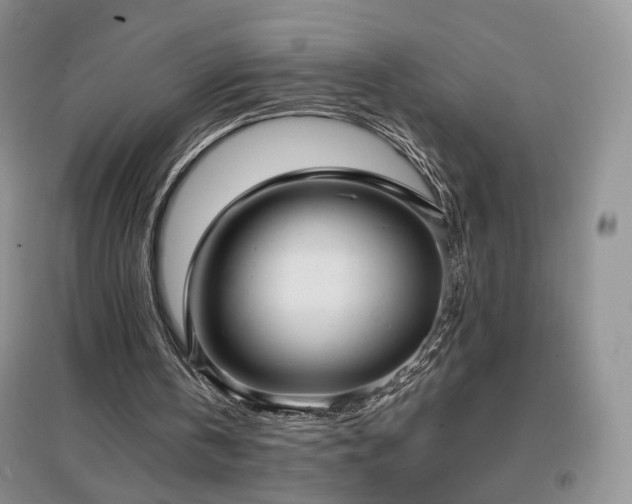 X0000096960146200802081238