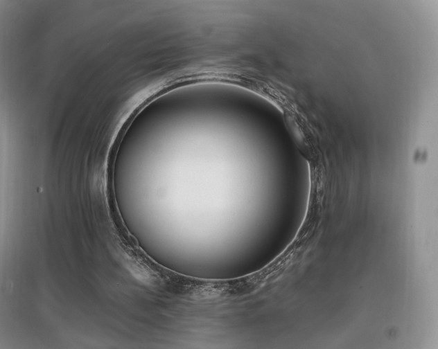 X0000096960148200802081238