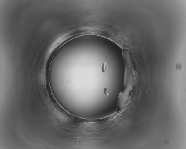 X0000096960150200802081238