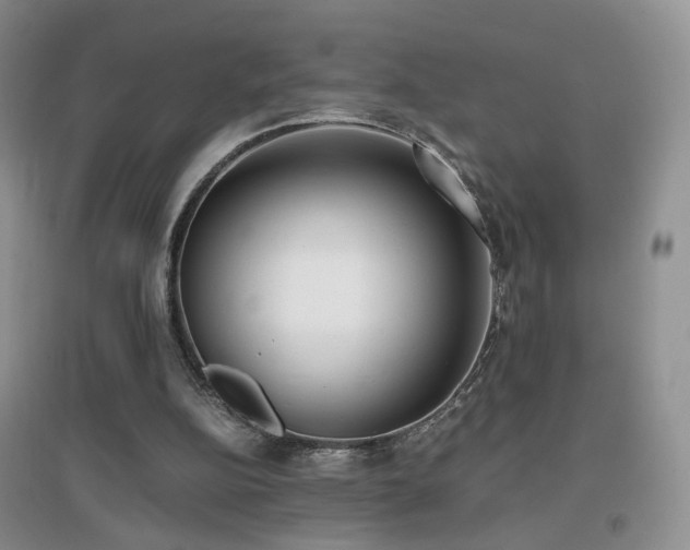 X0000096960152200802081238