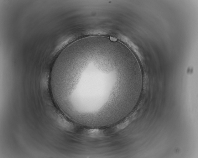 X0000096960153200802081238