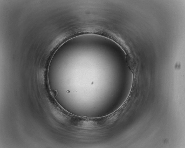 X0000096960154200802081238