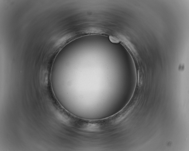 X0000096960157200802081238